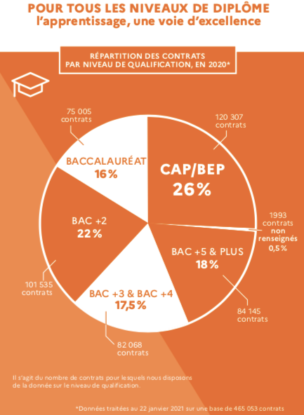 La répartition des diplômes - Adopt1Alternant site d'offres d'emploi en alternance
