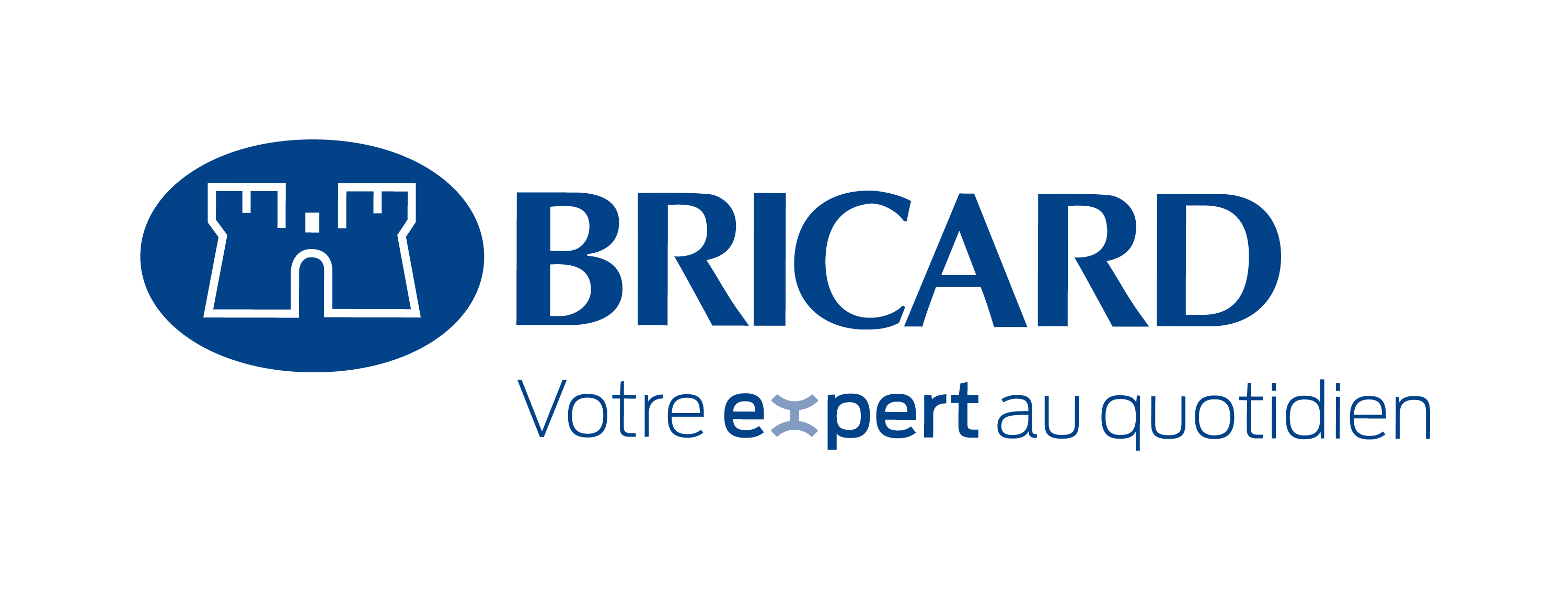 BRICARD SAS - Logo